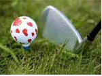 Golf & Sportmanagement